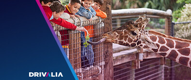 Top des zoos de France