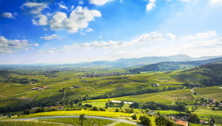 restaurant bouchon lyonnais