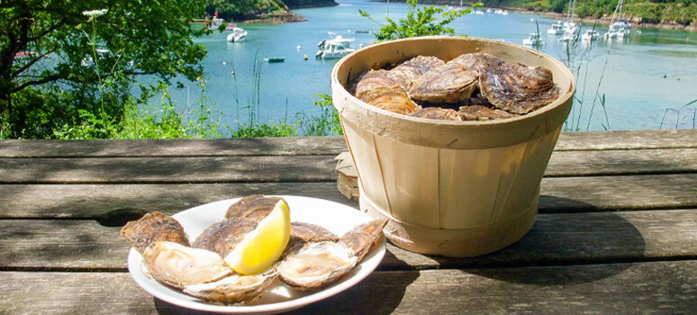Weekend en Bretagne - Finistère Sud : la Cornouaille et le pays Bigouden