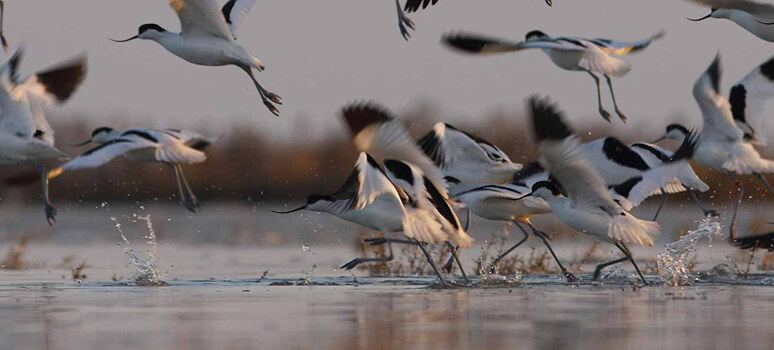 Séjour en Bretagne Atlantique : Le Croisic La Baule St Nazaire