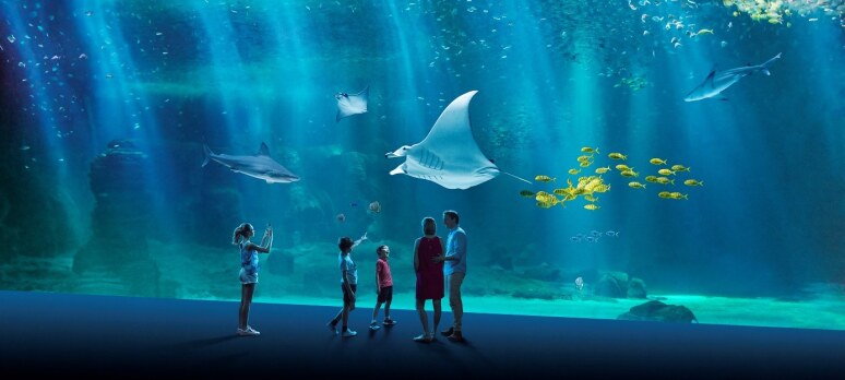Top 5 des Meilleurs Aquarium de France !